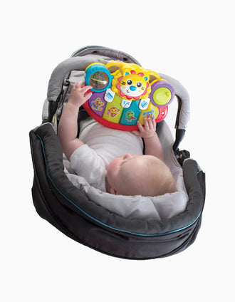 Jouet Musical Lion Playgro