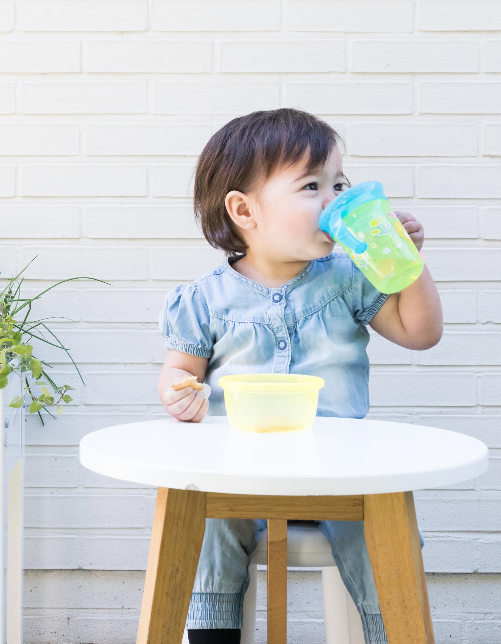 360 Sippy Cup with Handles, 240ml 6M+ by Nuby