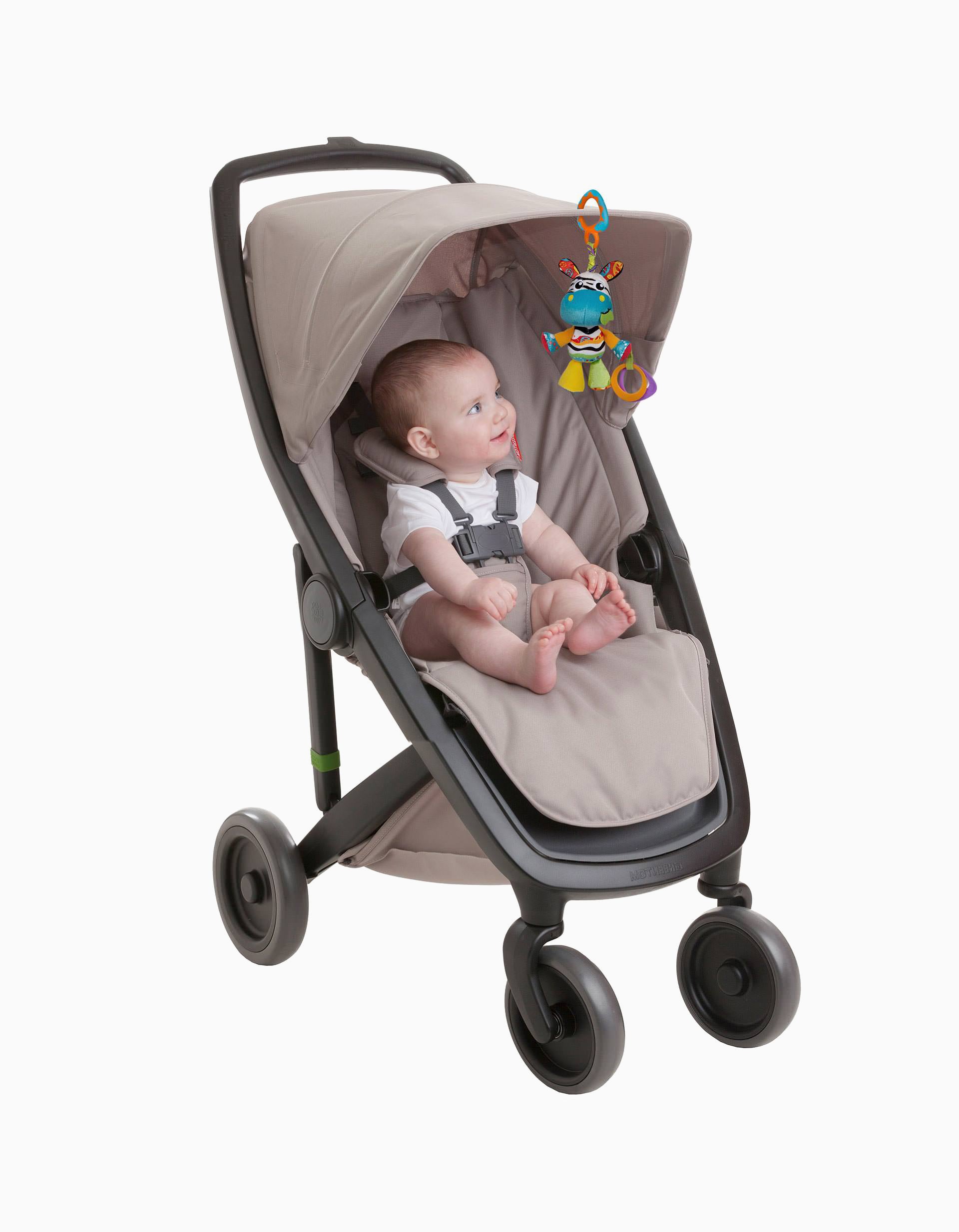 Zoe the Zebra Baby Teether, by Playgro