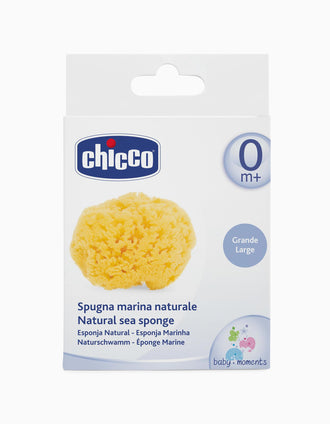Esponja Marina Natural Grande Chicco