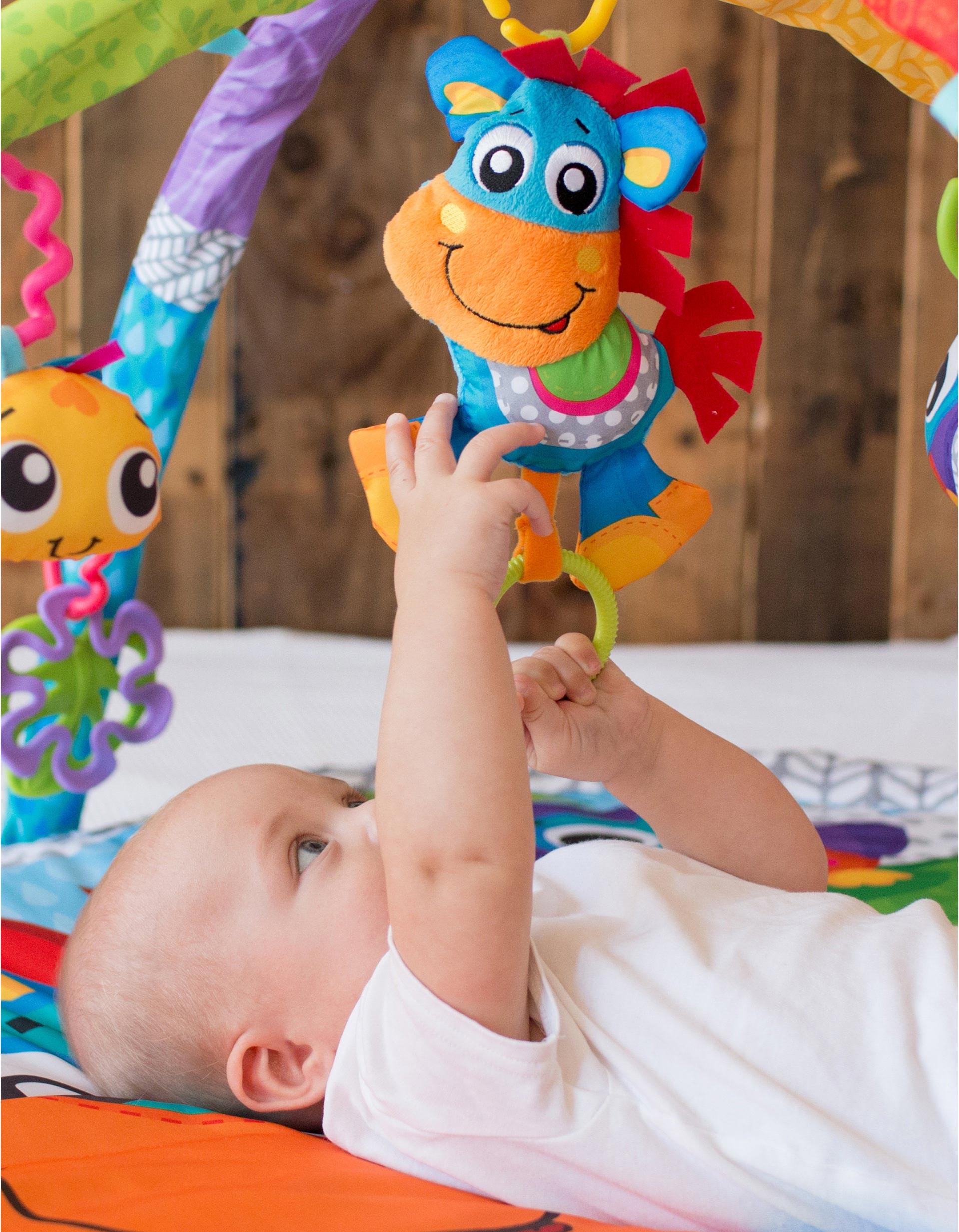 Clip Clop Musical Activity Gym by Playgro