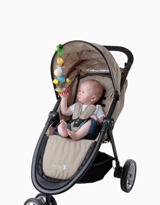 Clip Dingly Playgro 0M+