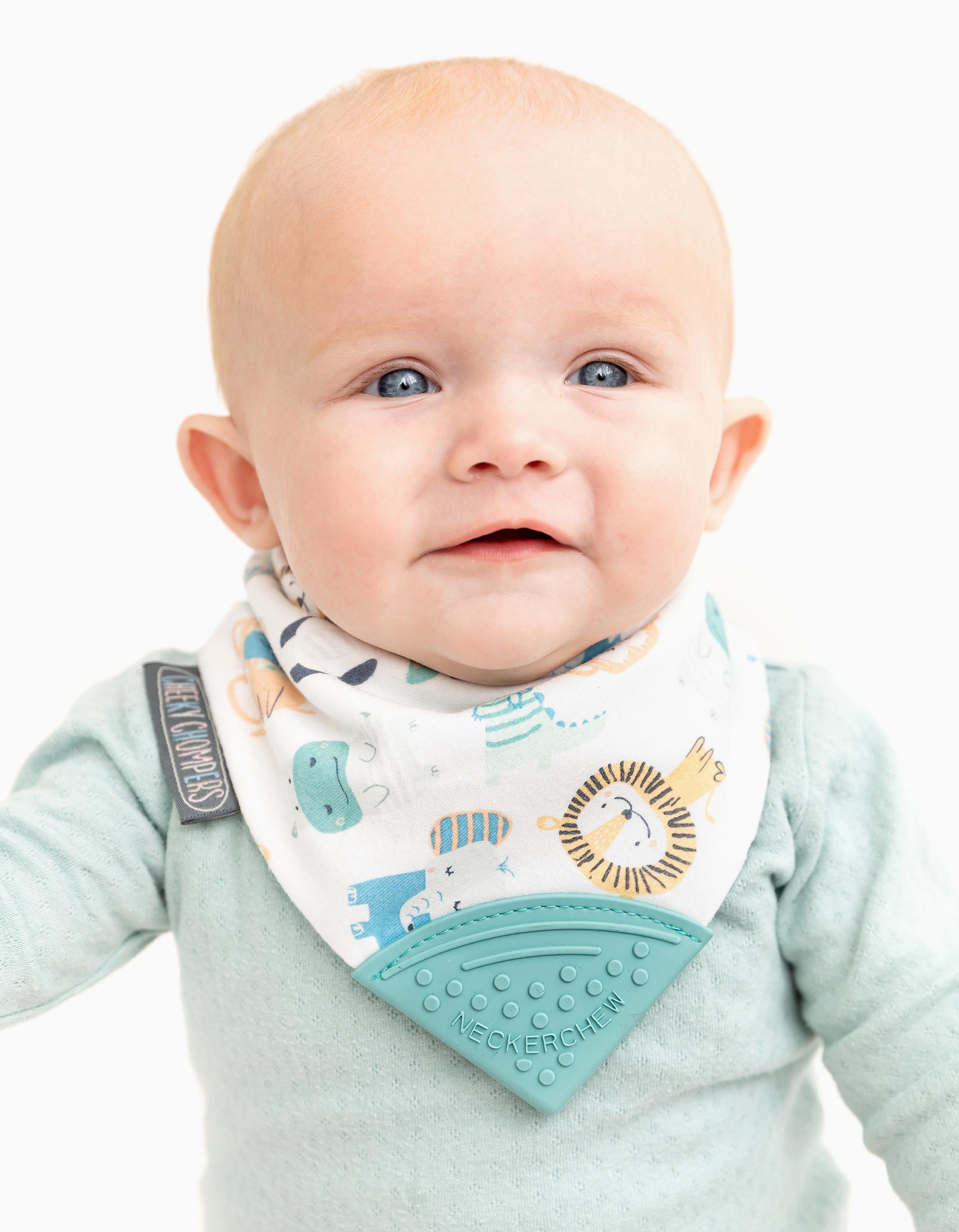 Bandana with Teether Cheeky Chompers Animals