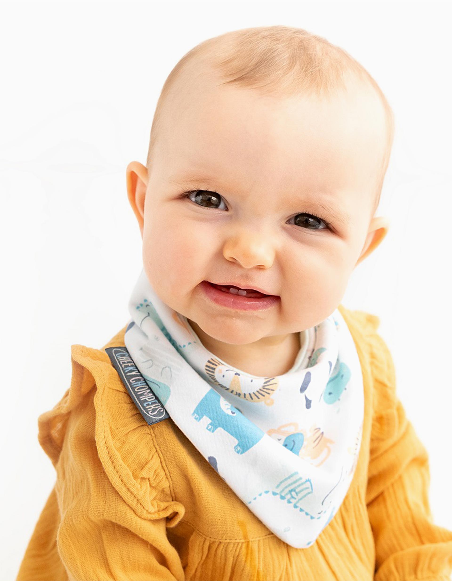 2-Pack Bandana Cheeky Chompers