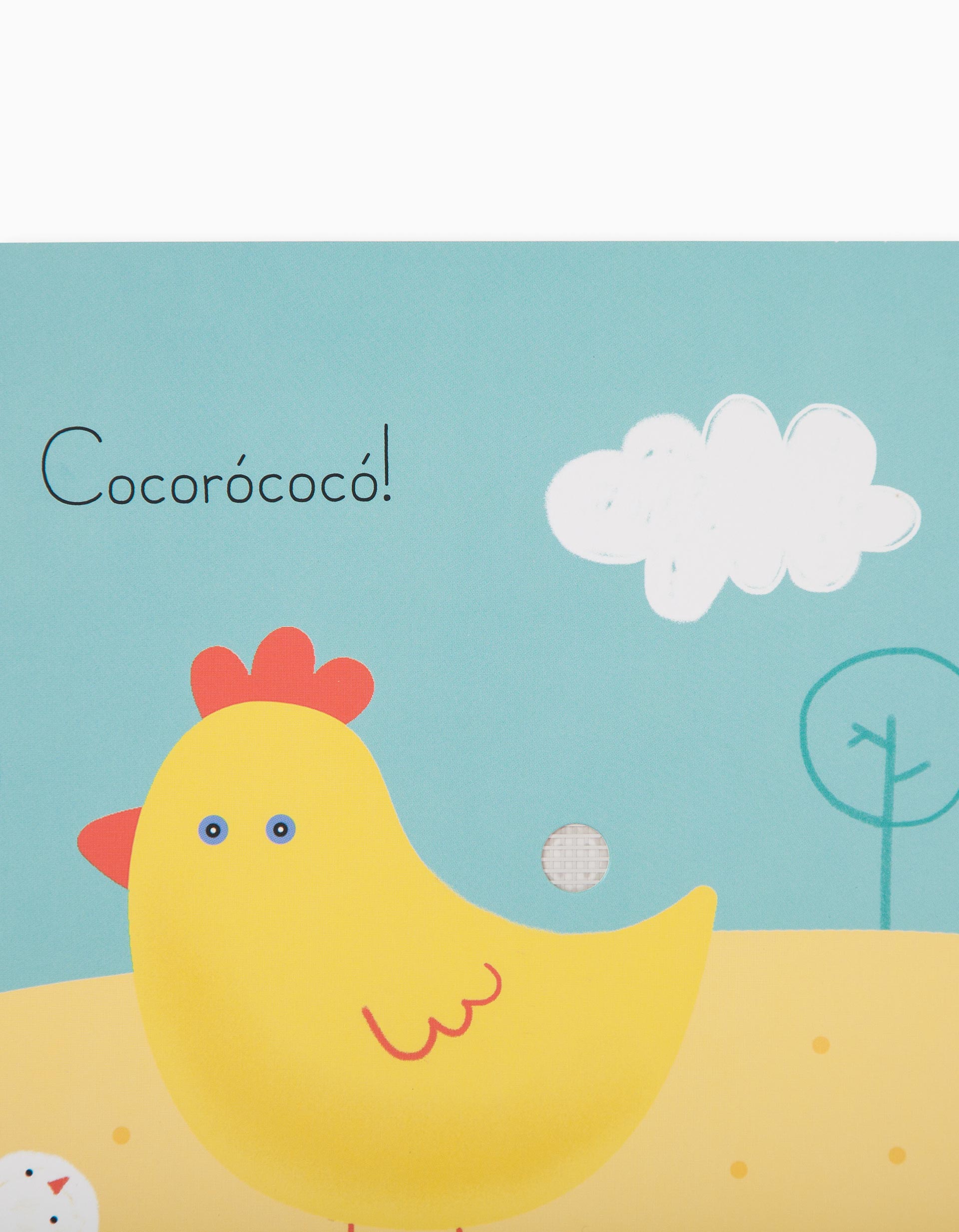 SEE, READ & HEAR - F