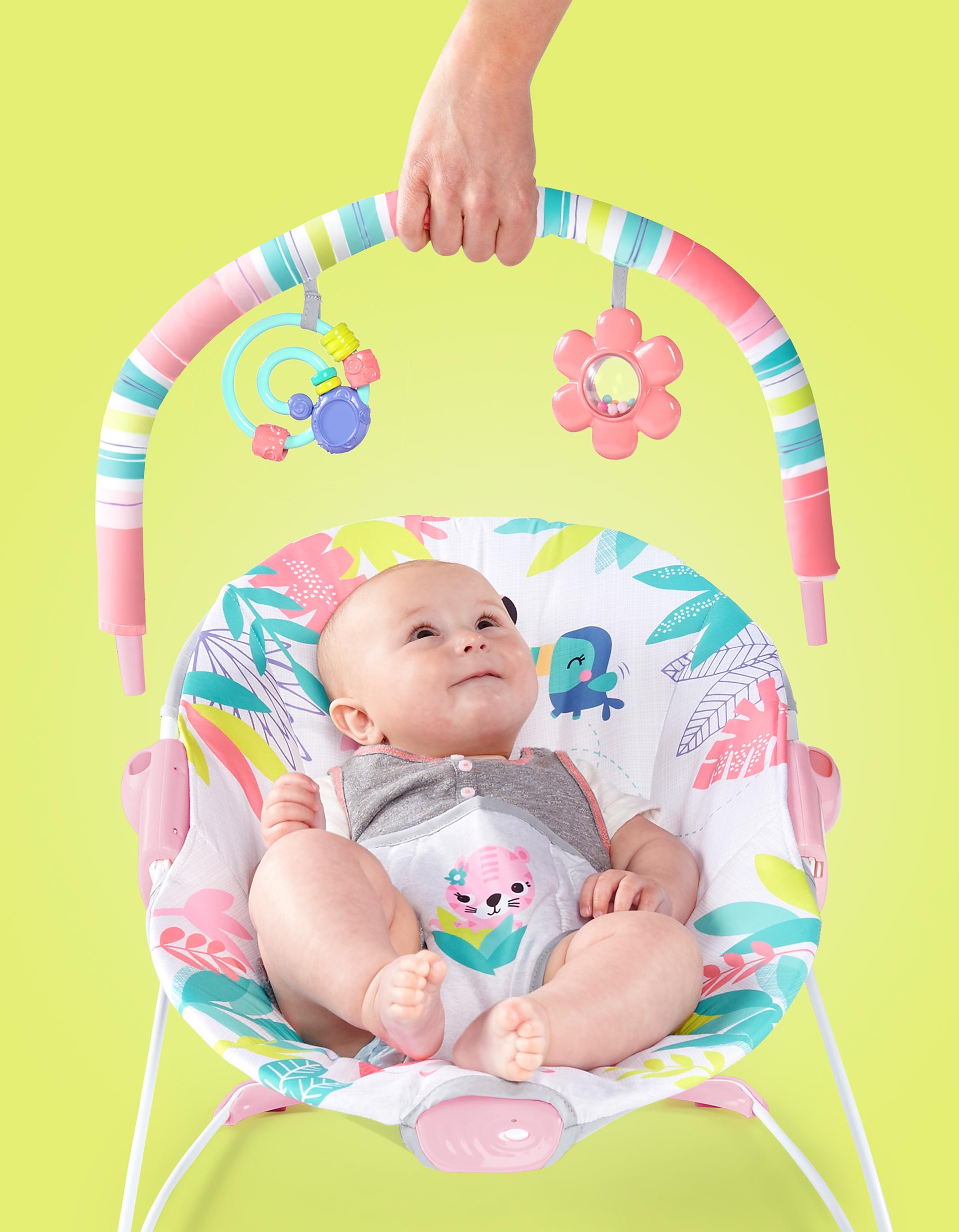 Bright Starts Flamingo Vibes Bouncer