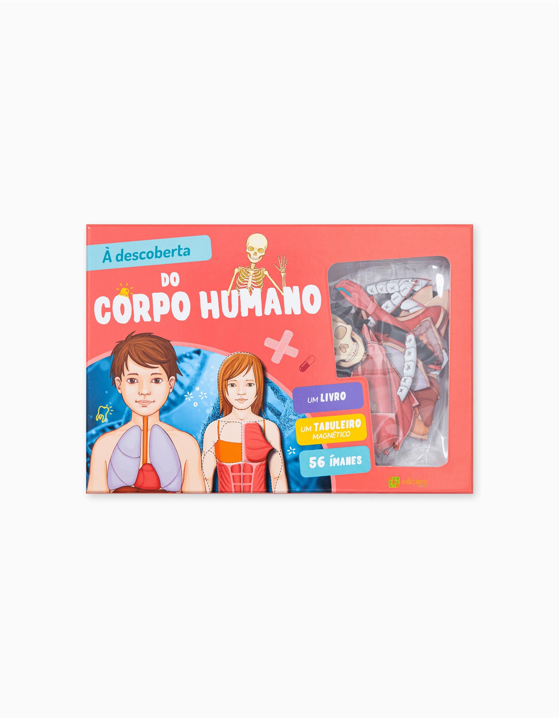 À Descoberta Do Corpo Humano Edicare 7A+