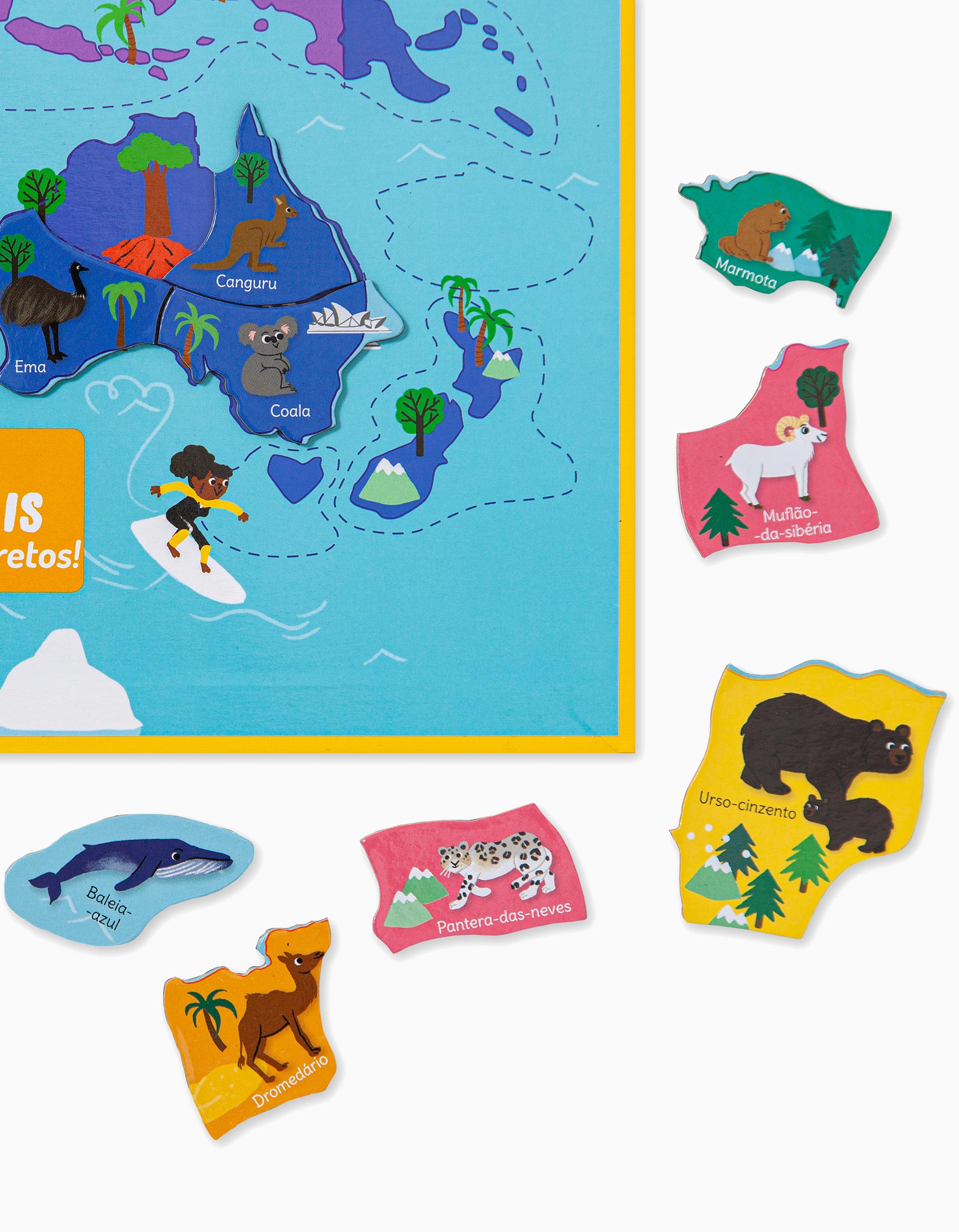 À Descoberta Dos Animais Edicare 7A+