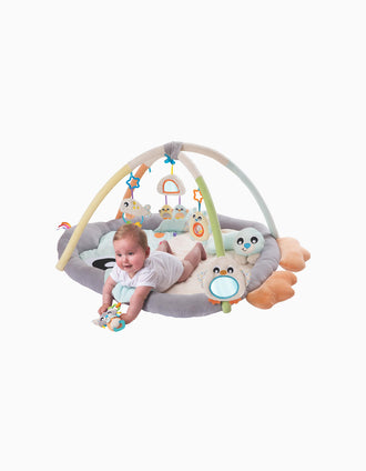 Área de Actividades Tummy Time Pingüino Playgro 0M+