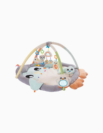 Área de Actividades Tummy Time Pingüino Playgro 0M+