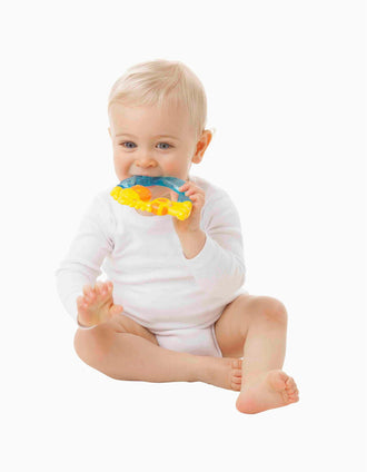 Jouet de Dentition Girafe Jerry Playgro 3M+