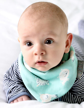 2 Bandanas Muslin Peardrop & Lion Cheeky Chompers