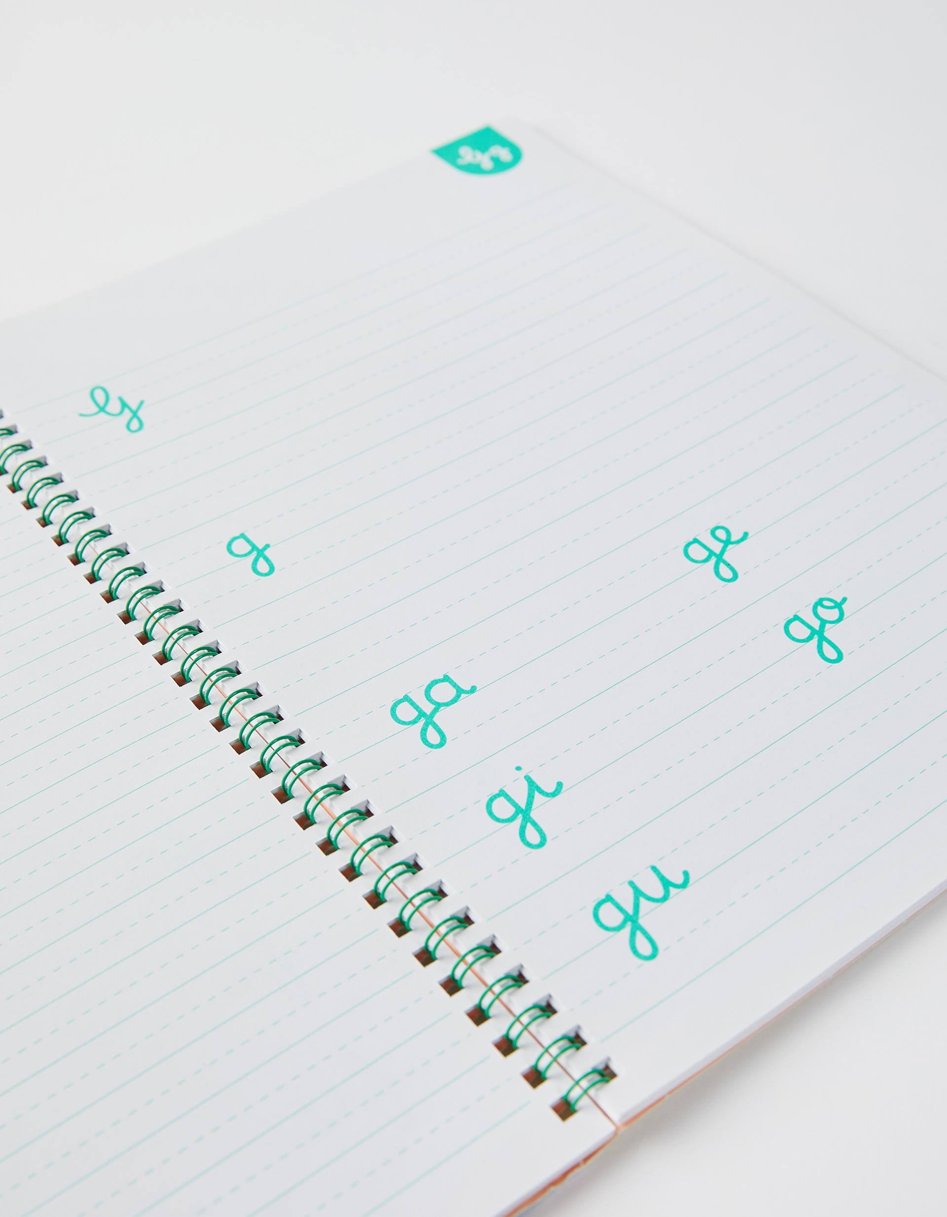 Livro De Caligrafia Edicare 5A+