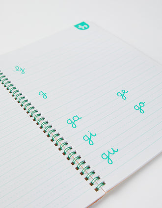 Livro De Caligrafia Edicare 5A+