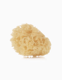 2 Esponjas Naturales Jané
