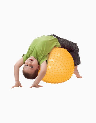 Bola de Motricidad XXL Ludi 2A+