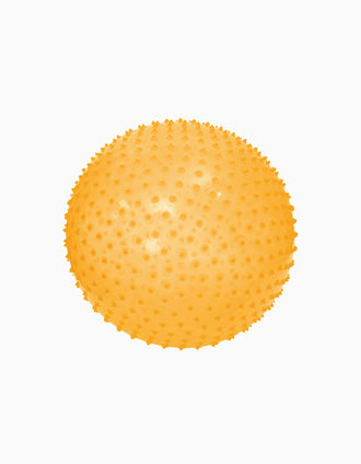 Bola de Motricidad XXL Ludi 2A+