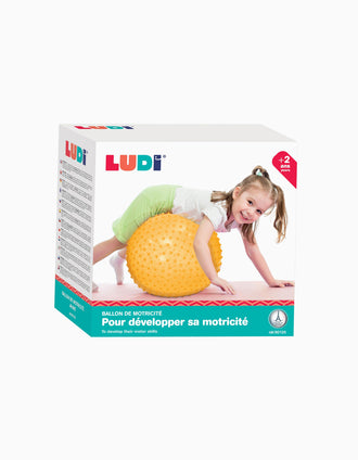 Bola de Motricidad XXL Ludi 2A+