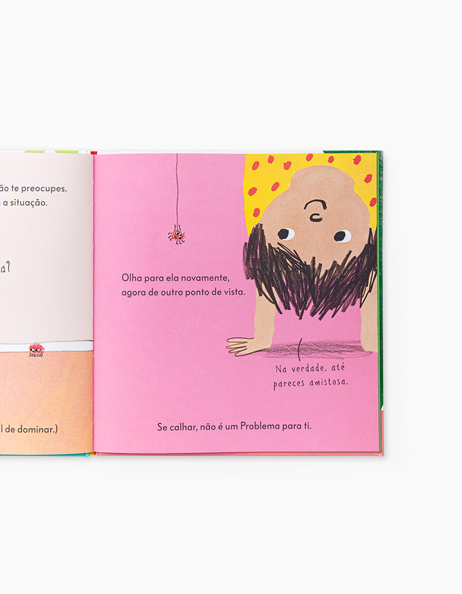 Livro O Problema Com Os Problemas Edicare 5A+