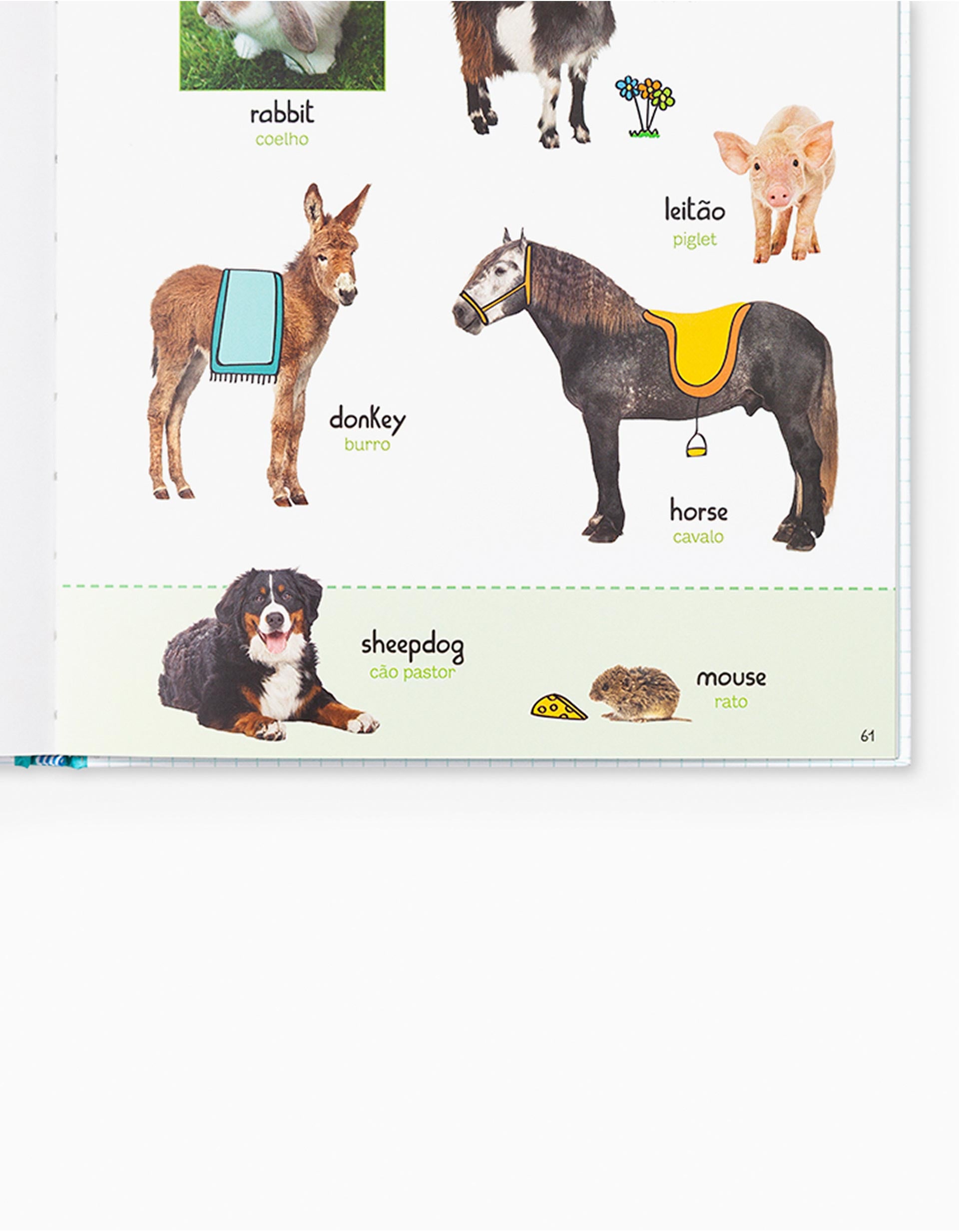 Livro Já Sei Inglês! Dicionário Por Imagens Edicare 4A+