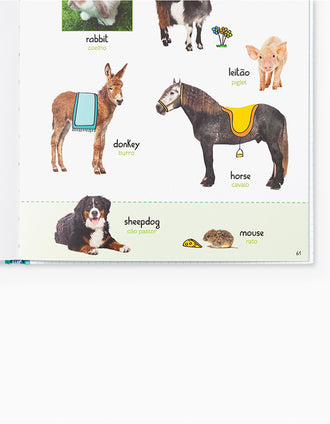 Livro Já Sei Inglês! Dicionário Por Imagens Edicare 4A+