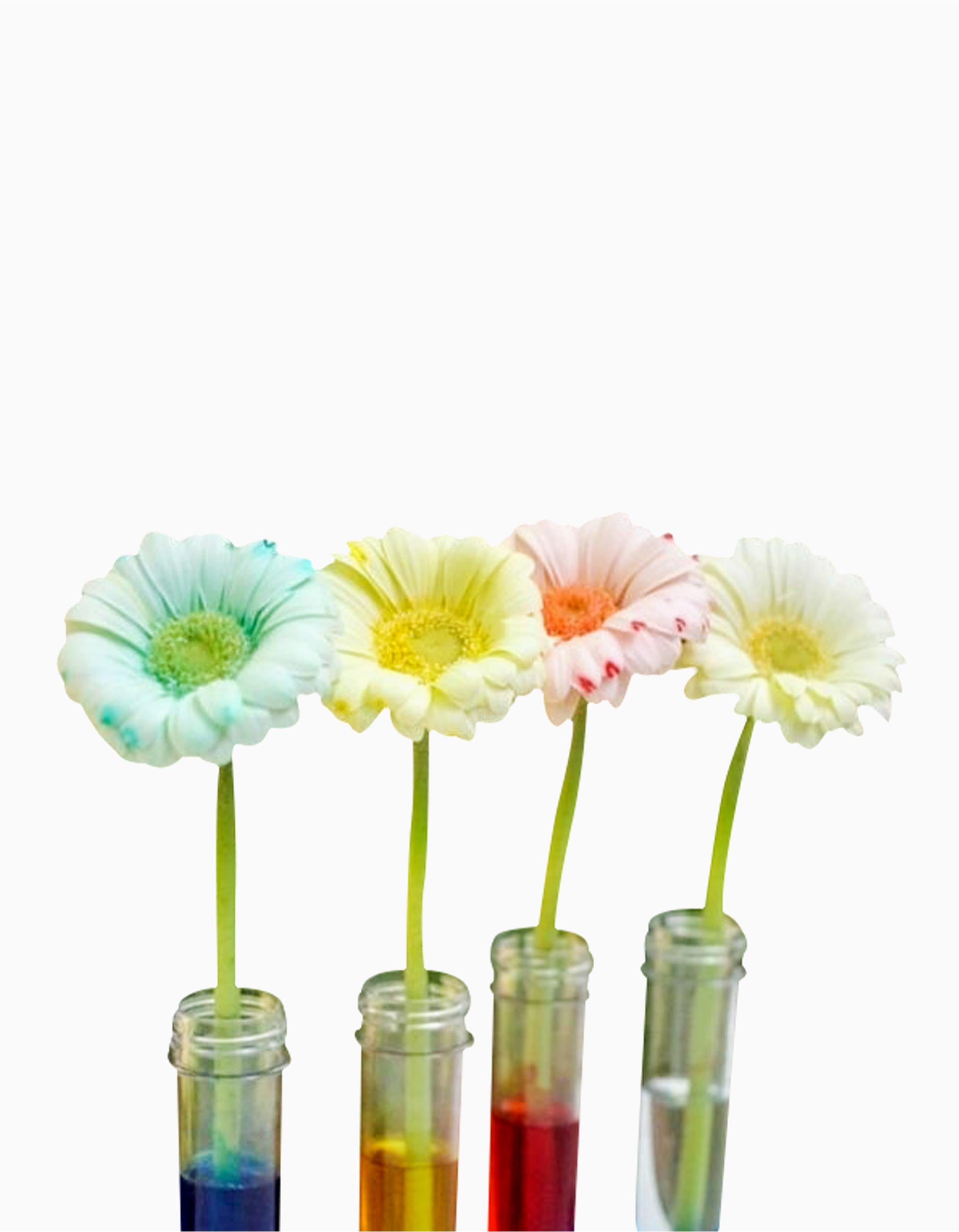 Jeu Eco Peppa Pig La Science de L'arc-en-ciel Science4You 4A+