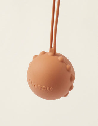 Caja Porta Chupete Silicona Nattou Caramel