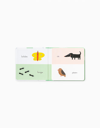 Livro Acordeão O Jardim Edicare 3M+