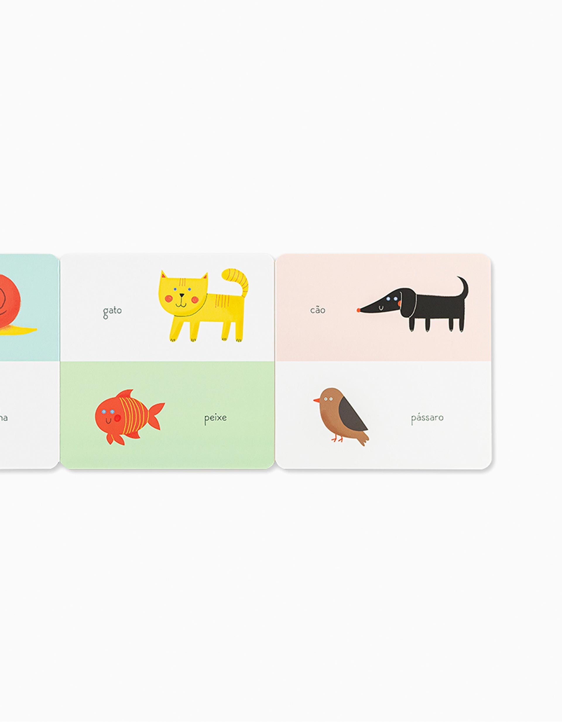 Livro Acordeão O Jardim Edicare 3M+