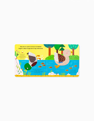 Livro Ajuda A Natureza: Os Patos Edicare 3A+
