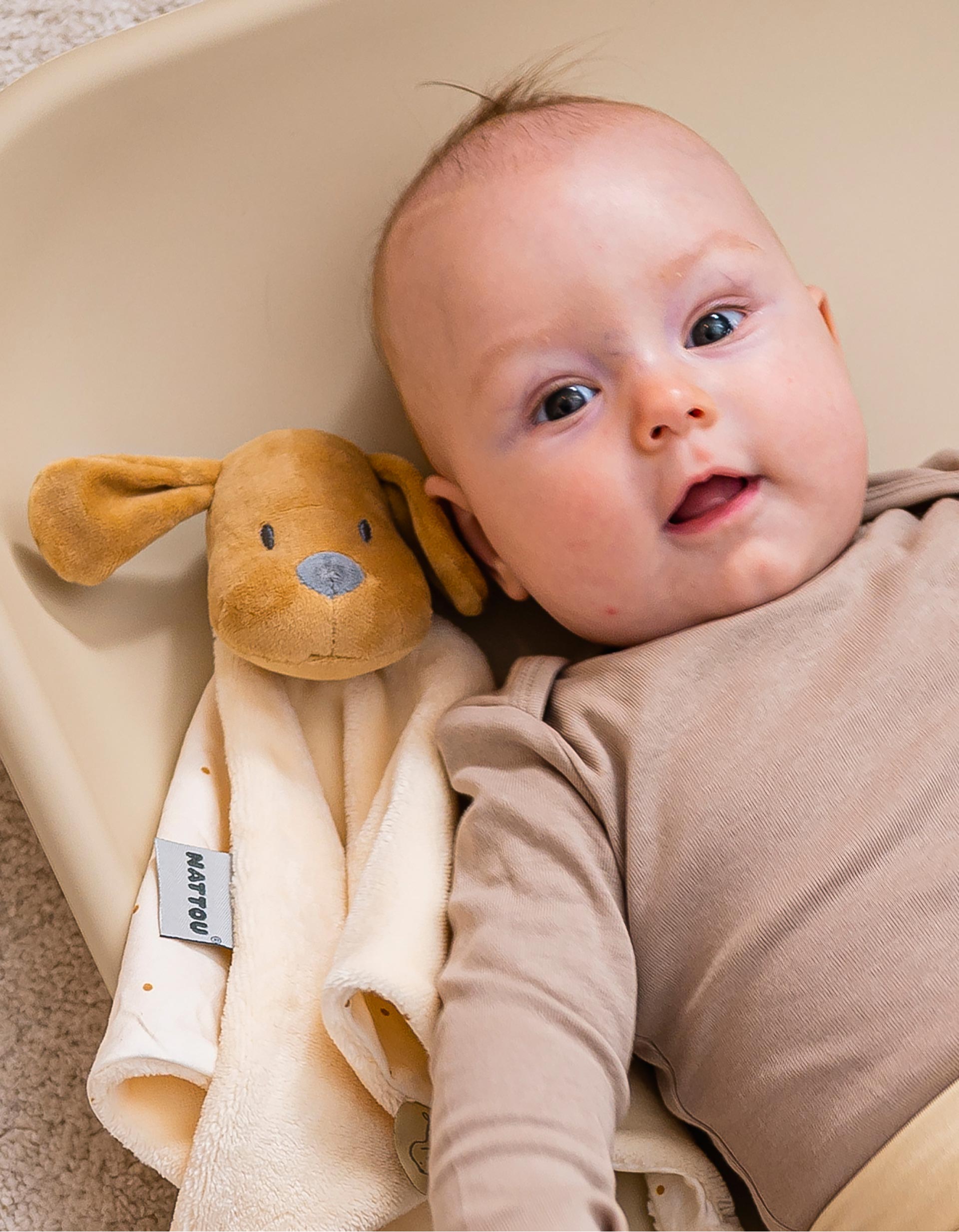 Doudou  Charlie Vanila Nattou 27Cm 0M+