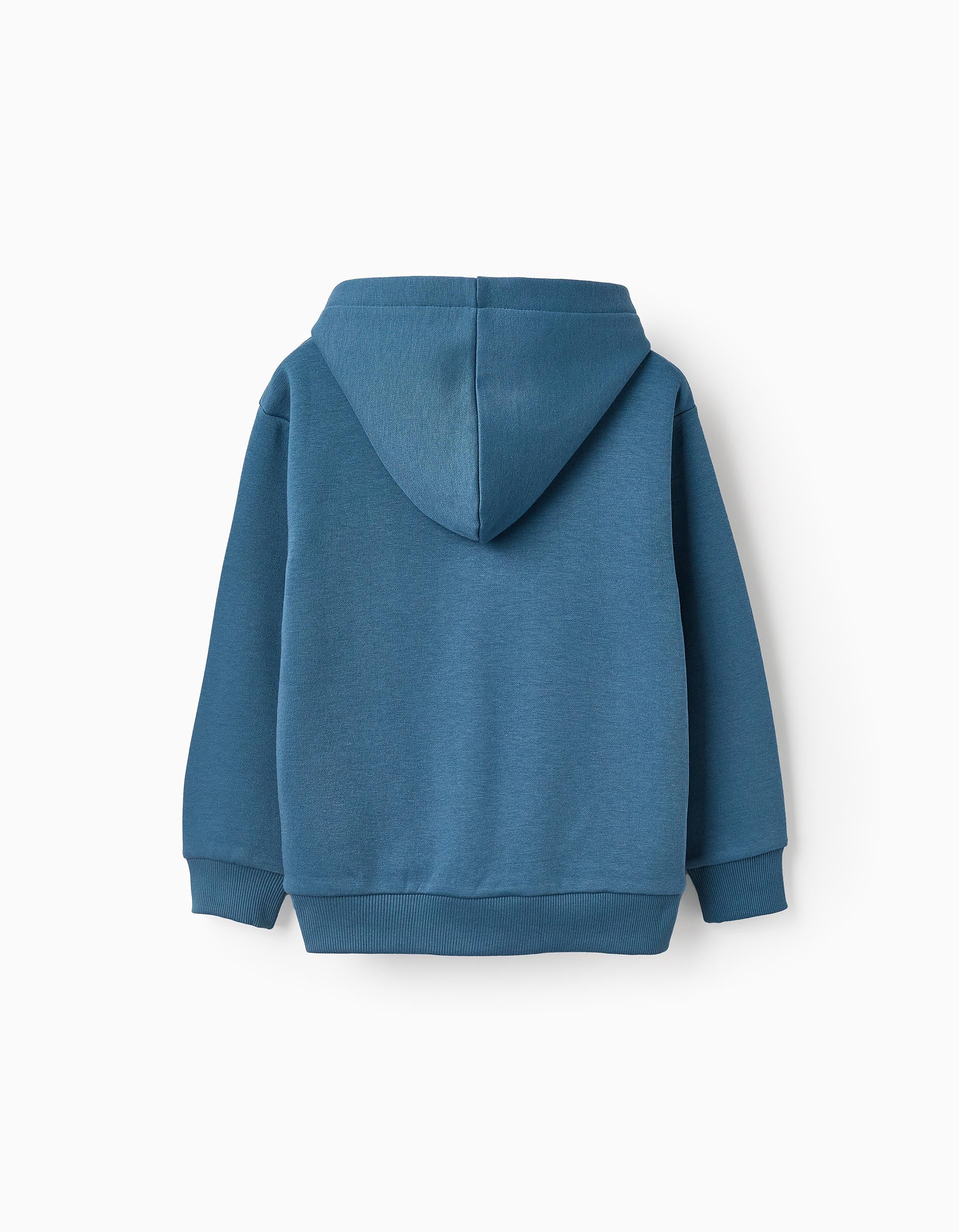 Hooded Sweatshirt for Boys 'Detroit', Turquoise