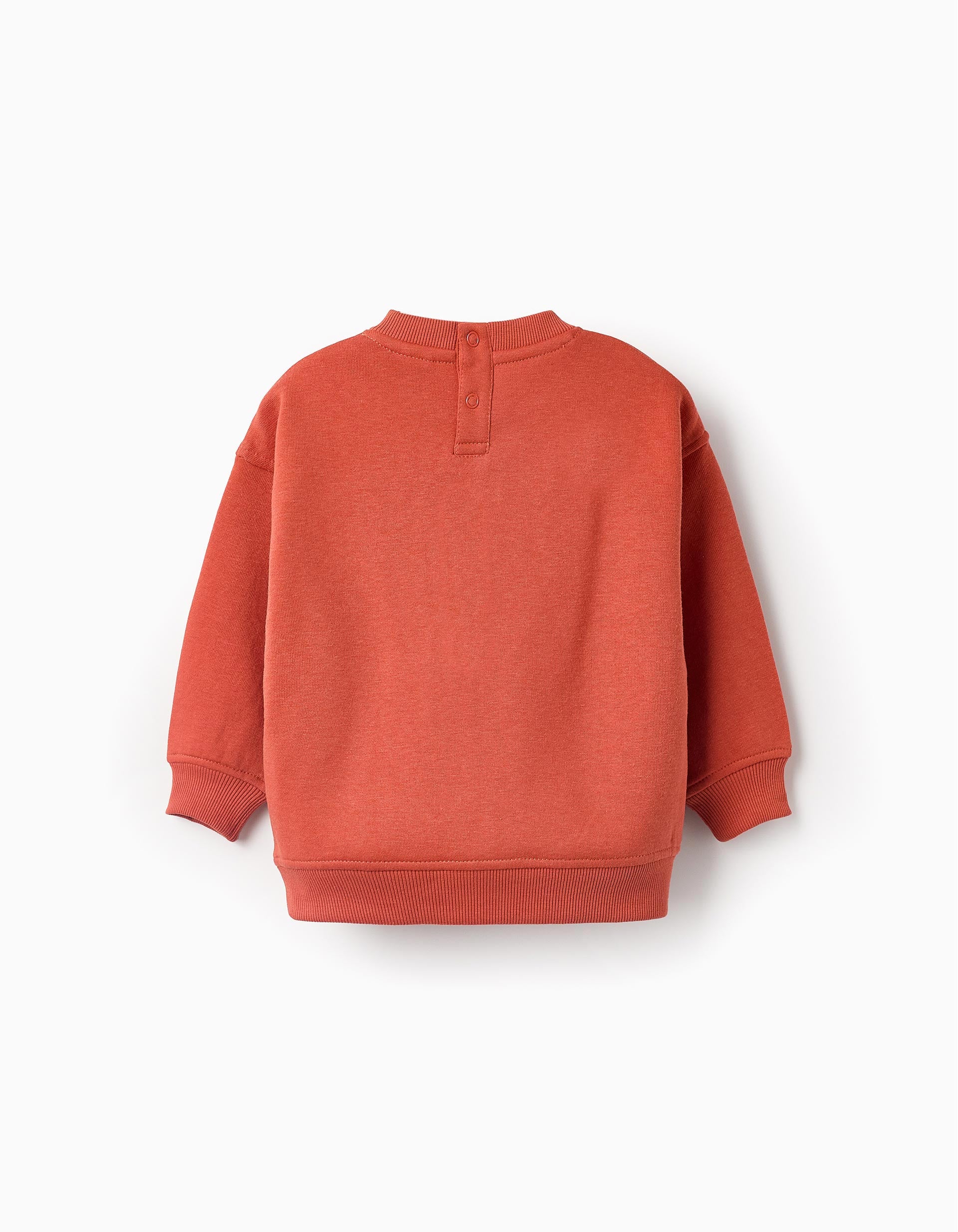 Fleece Sweatshirt for Baby Boys 'Fix', Orange