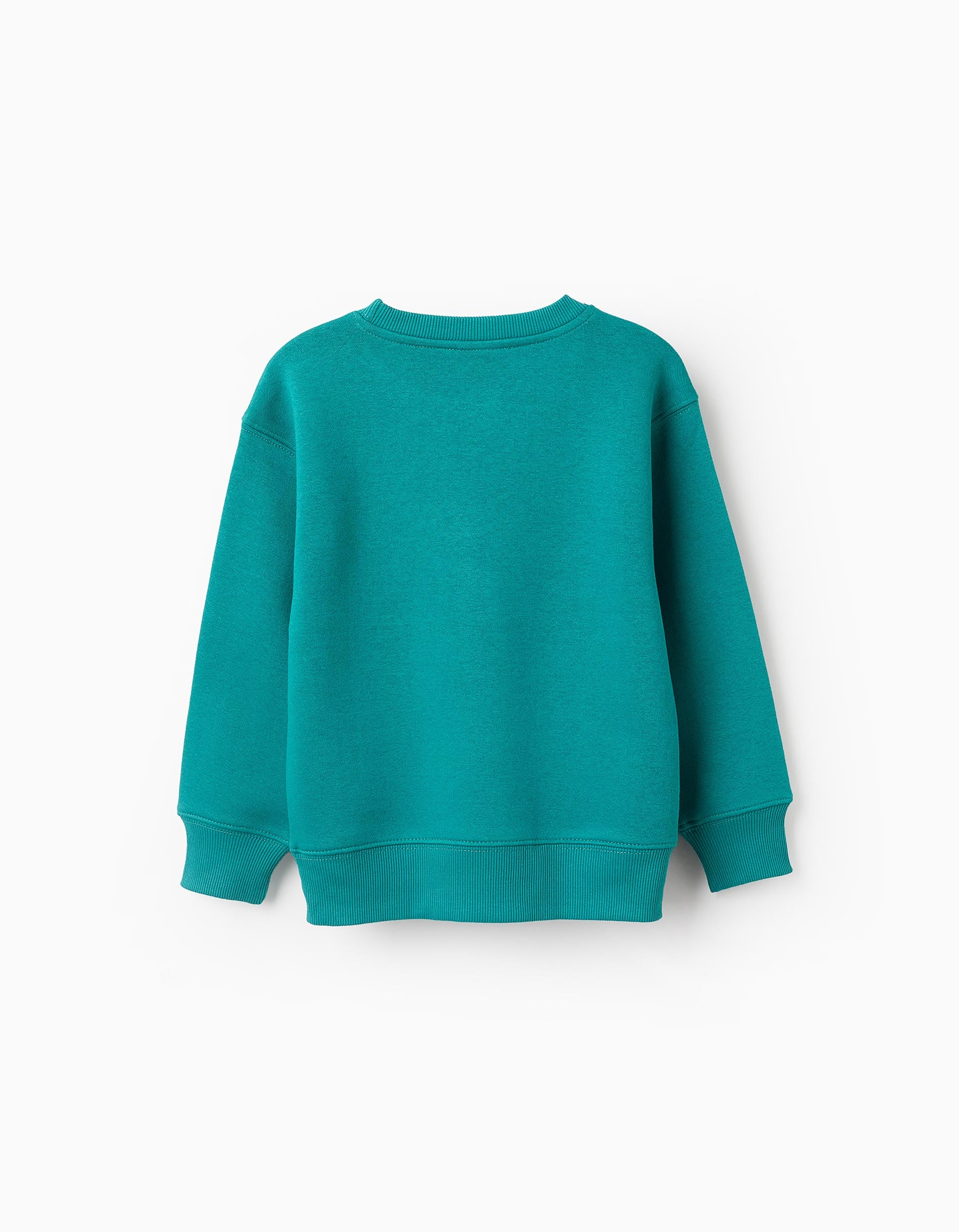 Brushed Sweatshirt for Boys 'Make Art', Green