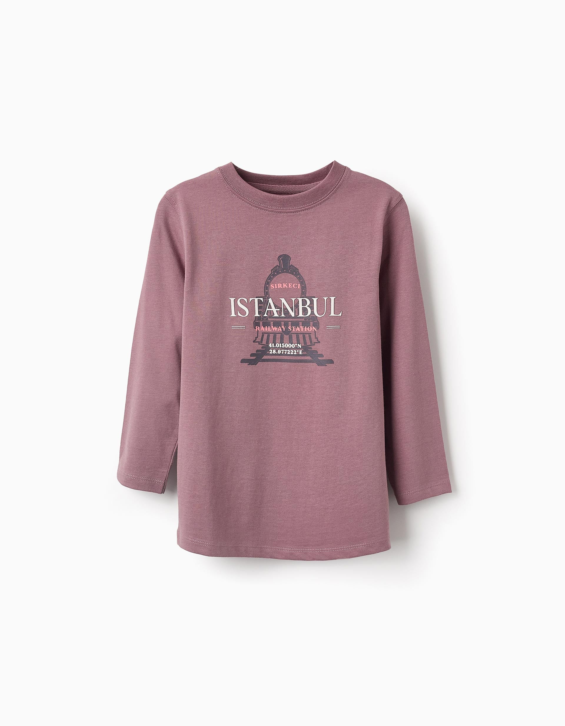 Long-sleeved T-shirt for Boys 'Railway', Purple