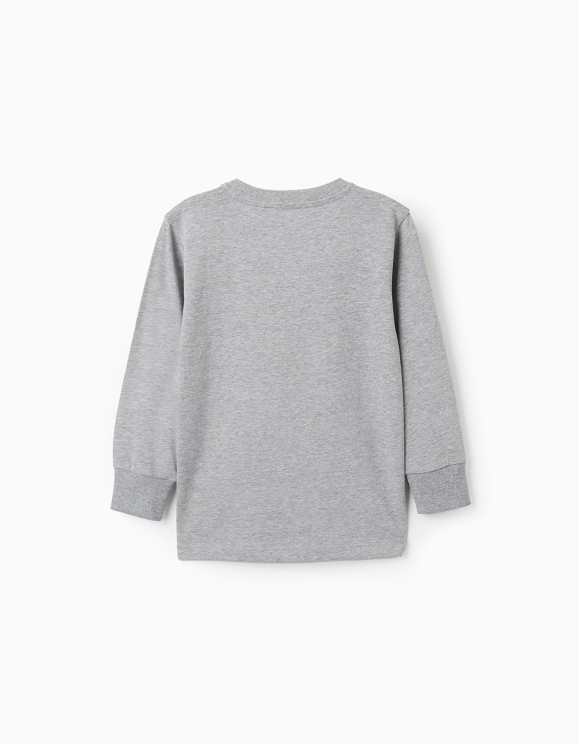 Long Sleeve T-shirt for Boys 'Urban Explorer', Grey