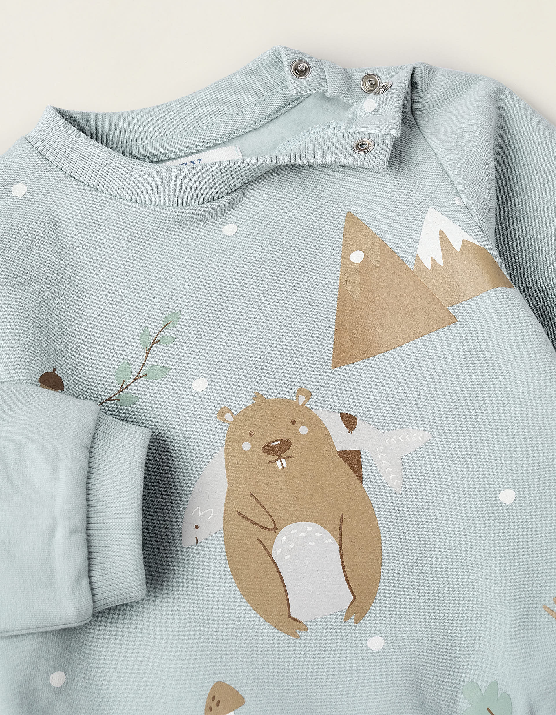 Fleece Sweatshirt for Newborns 'Beaver', Blue