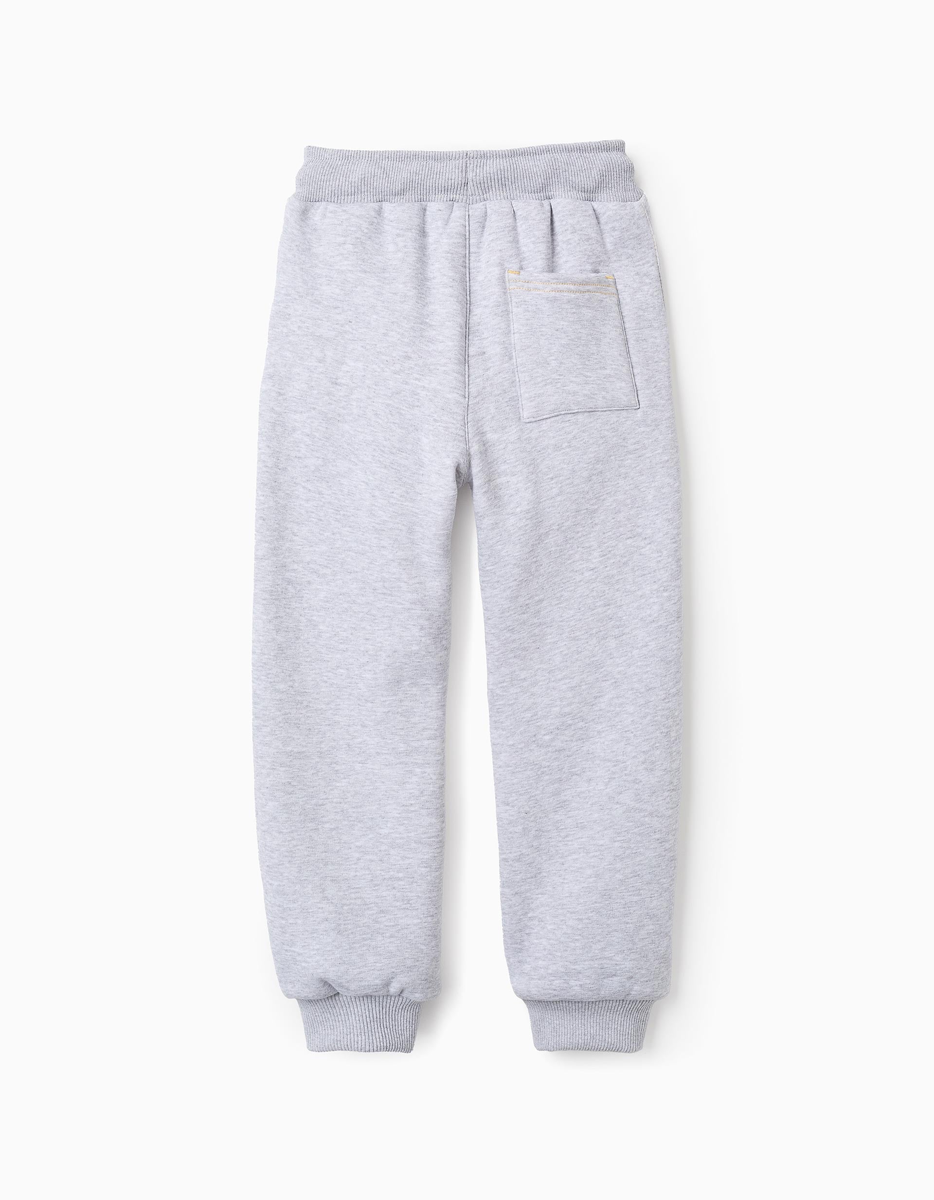 Thermal Effect Joggers for Boys 'Art', Grey