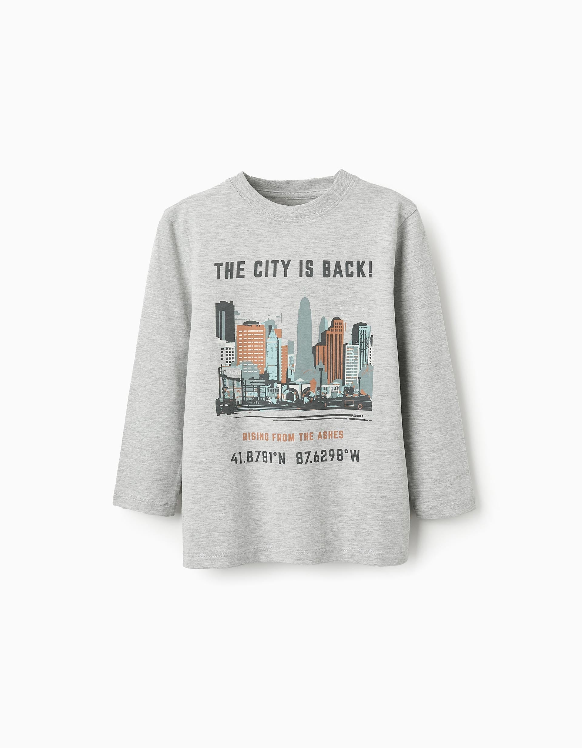 Long-sleeved Cotton T-shirt for Boys 'City', Grey