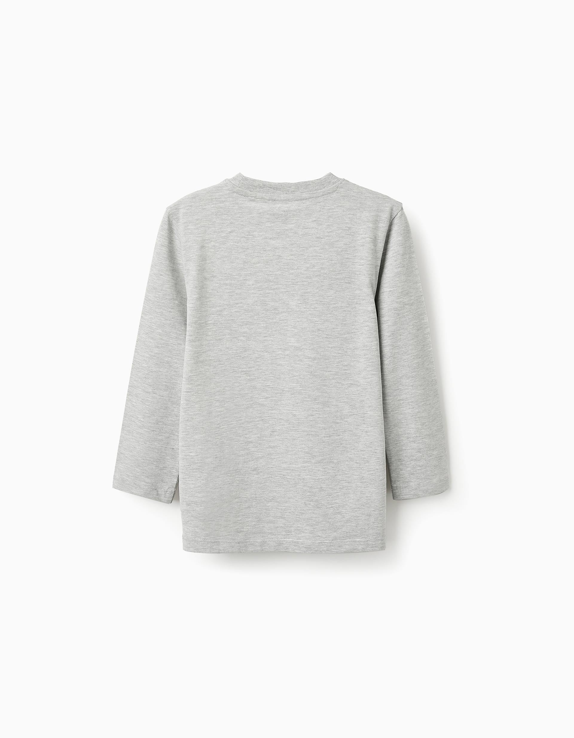 Long-sleeved Cotton T-shirt for Boys 'City', Grey