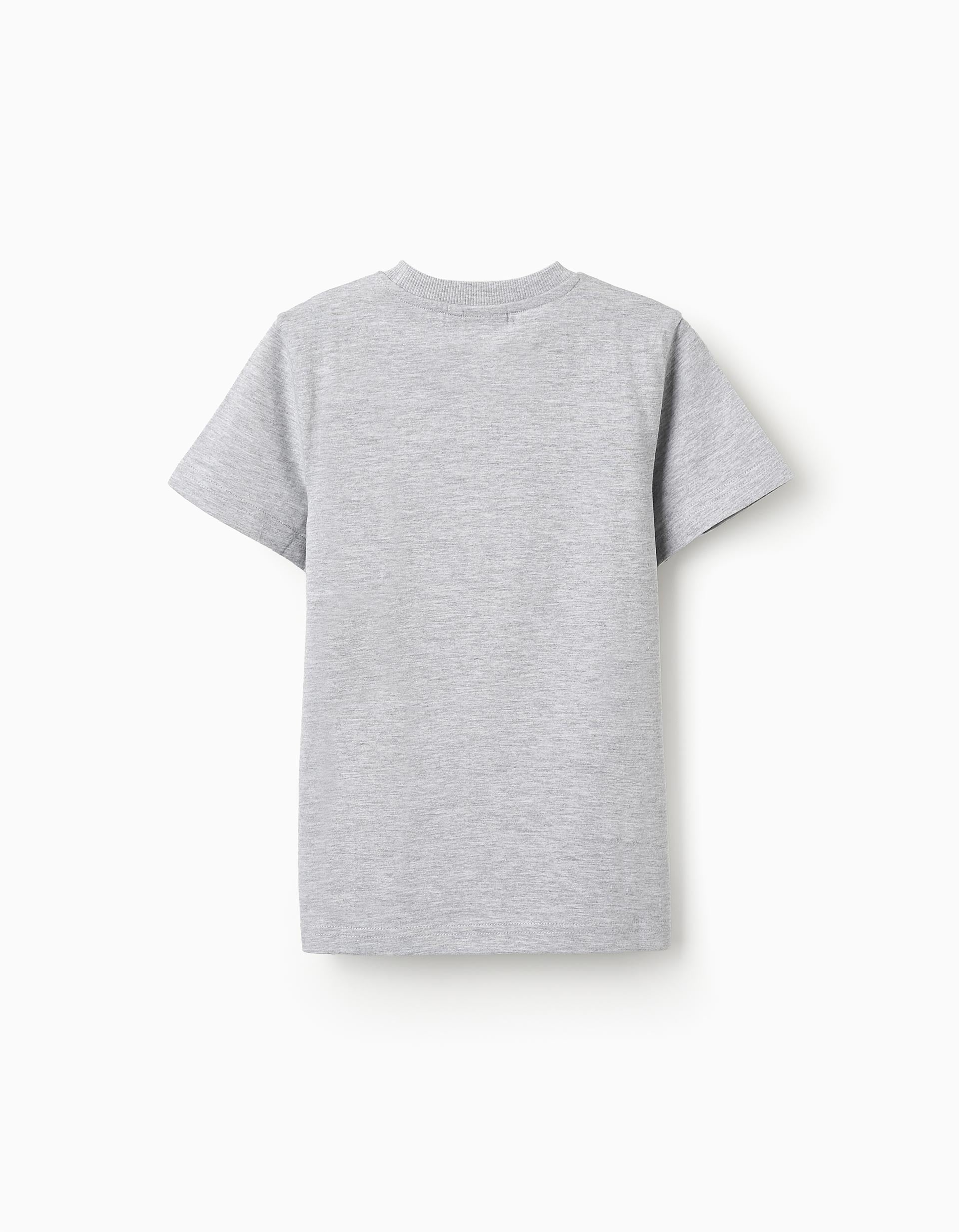 Cotton T-shirt for Boys 'Minions', Grey