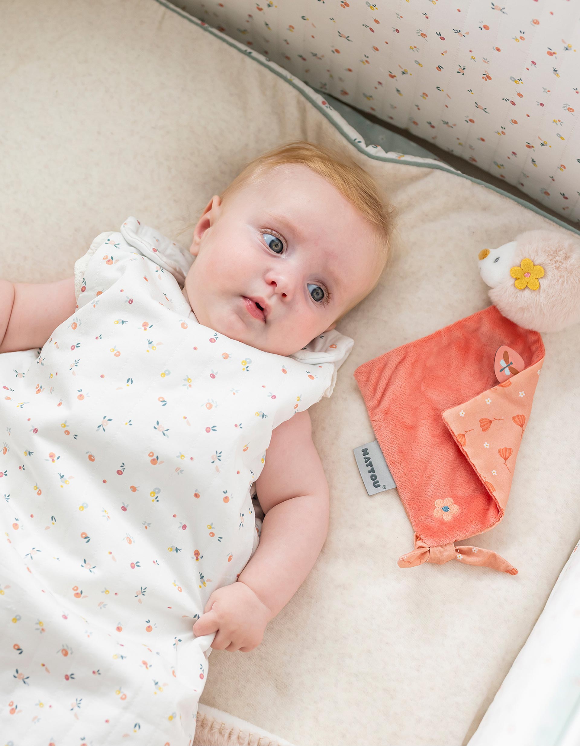 Mini Doudou Nattou 25Cm, Zoe Hedgehog