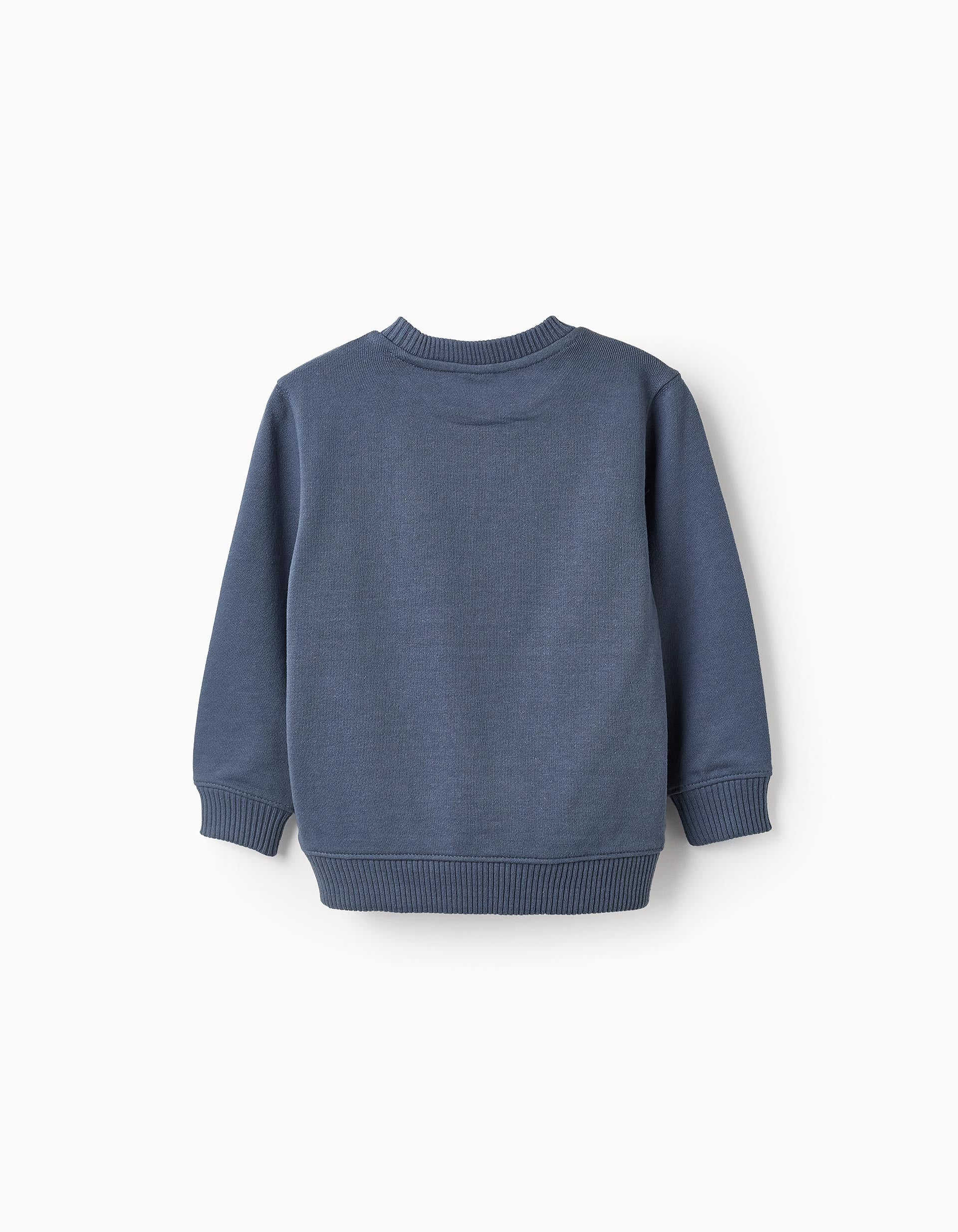 Cotton Sweatshirt for Boys 'Future', Blue