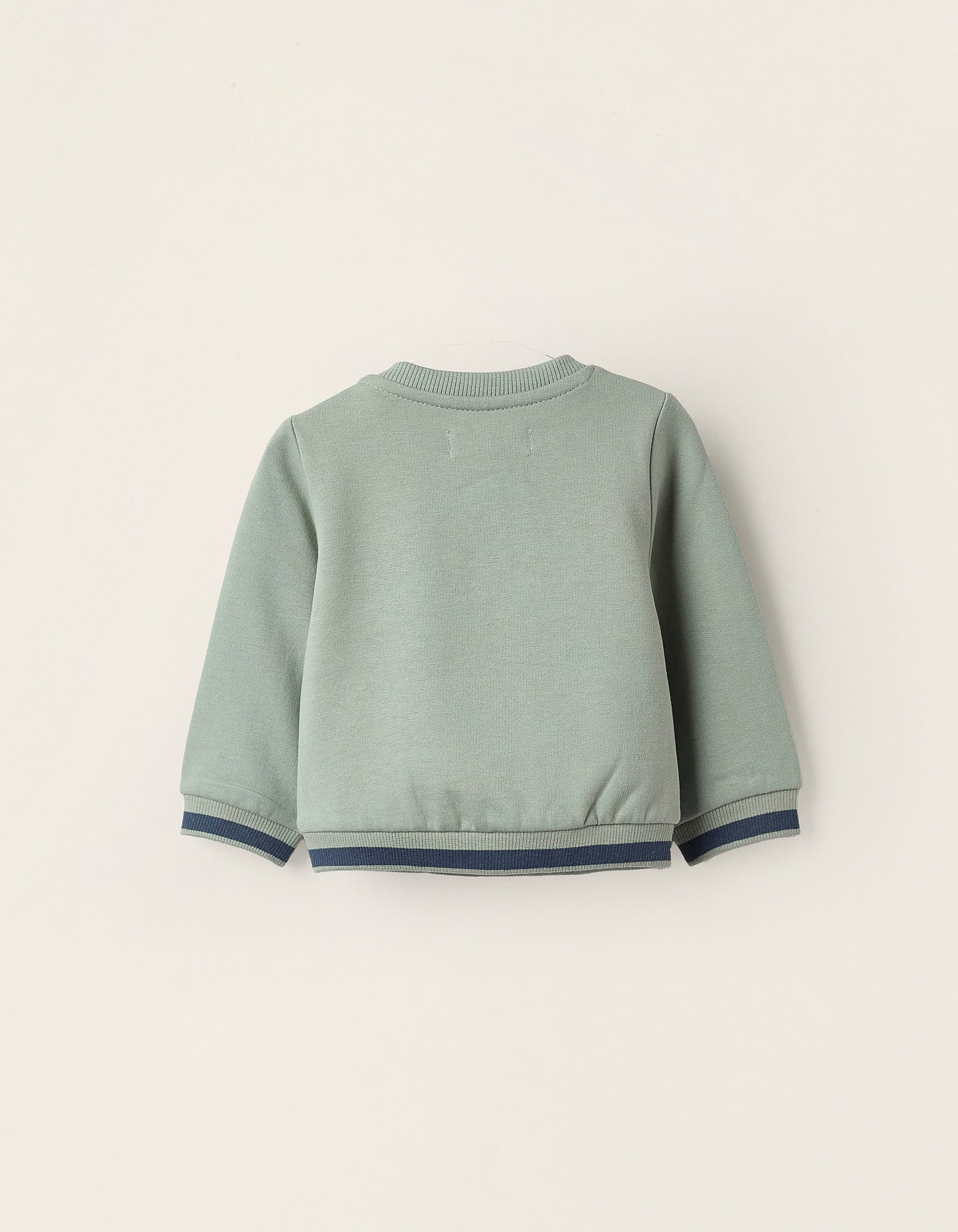 Brushed Newborn Sweatshirt 'Fox', Green