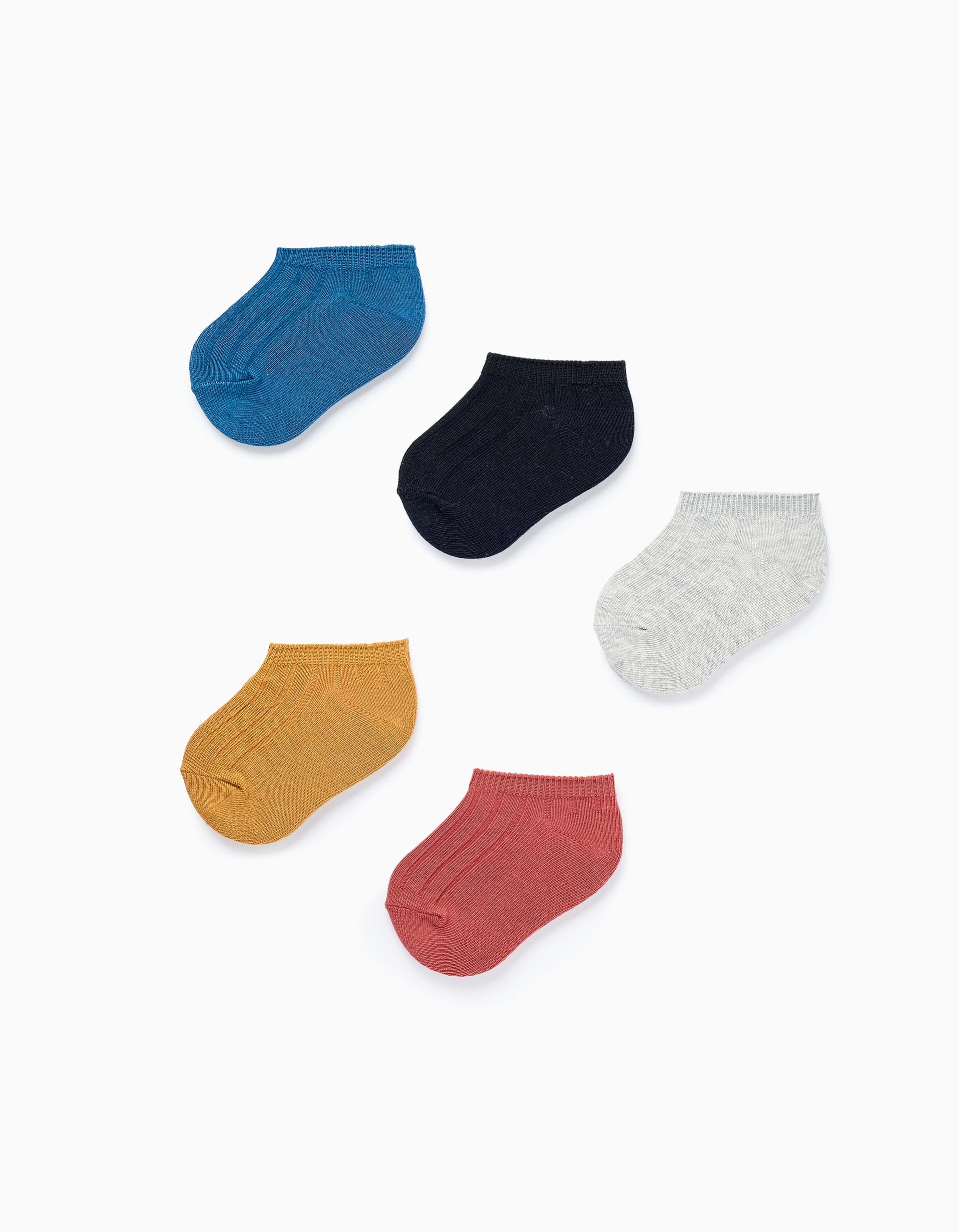 Pack of 5 pairs of Ribbed Ankle Socks for Baby Boys, Multicolour