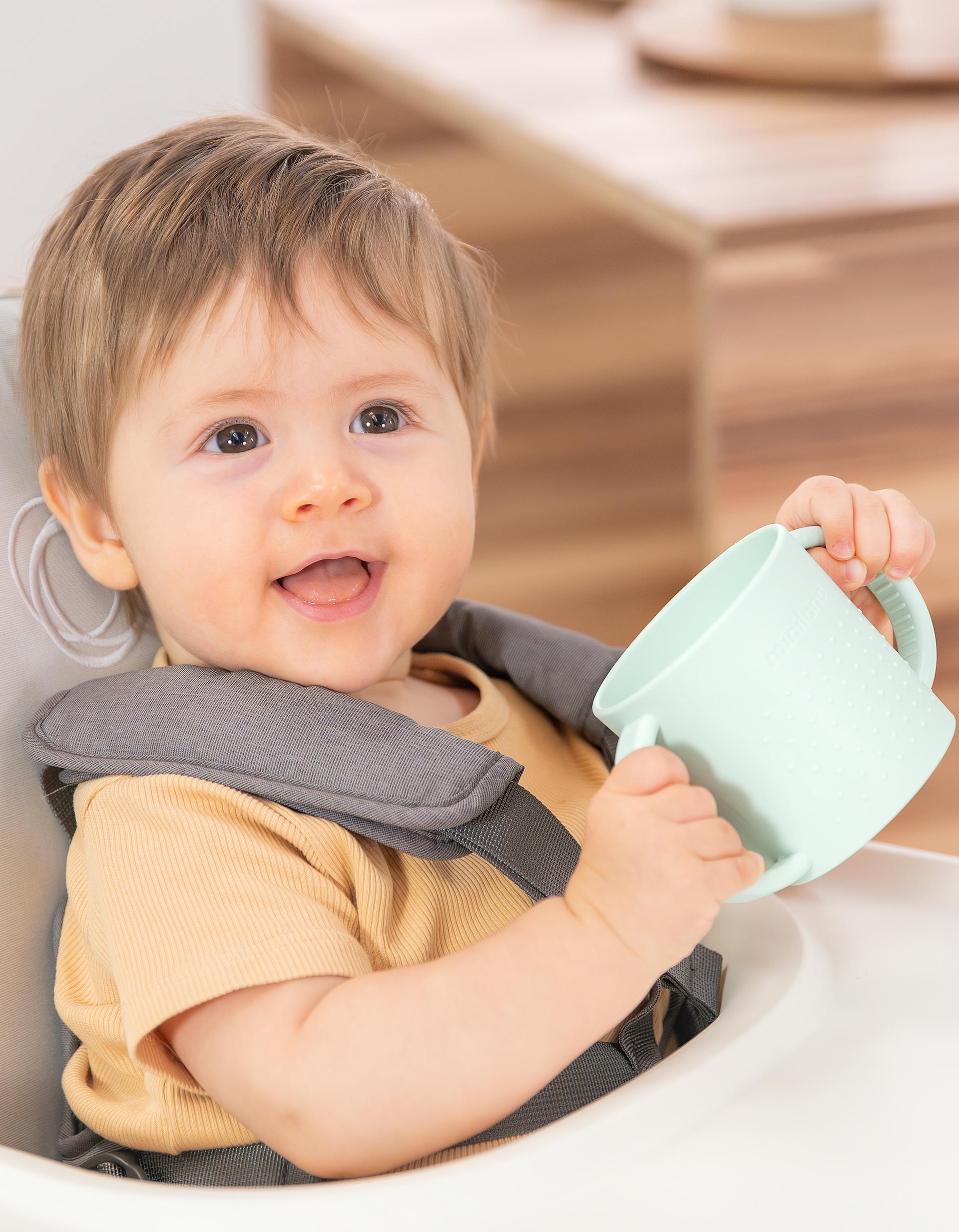Copo De Aprendizagem Com Pegas Miniland 6M+, Mint