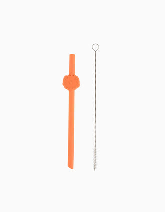 6 Palhinhas de Silicone C/ Escova Chicco 12M+